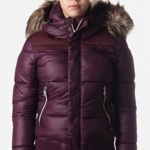 Purple Winter Jacket